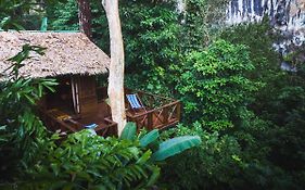 Our Jungle House - SHA Certified